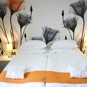 Modernes Zimmer mit Kingsize-Bett